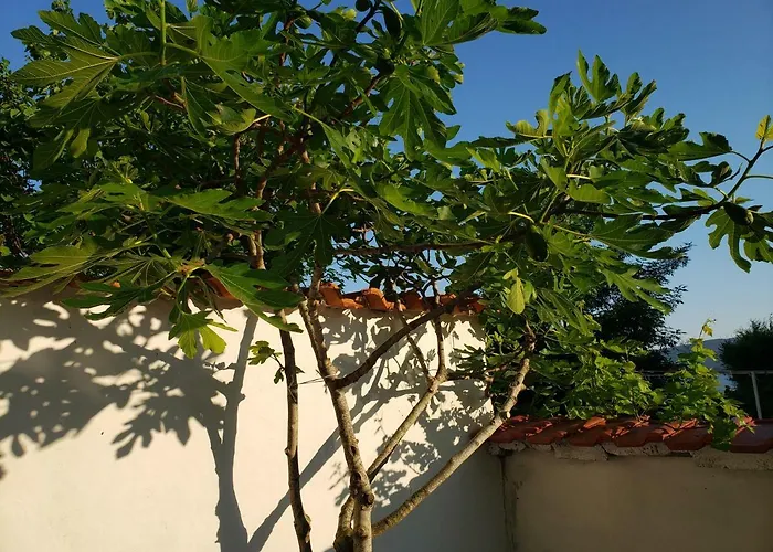 Penzion Evtimov Primorsko